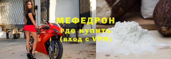 индика Медвежьегорск