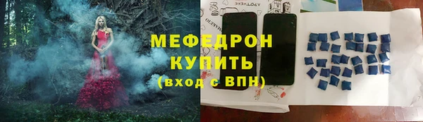 индика Медвежьегорск