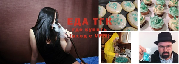 индика Медвежьегорск