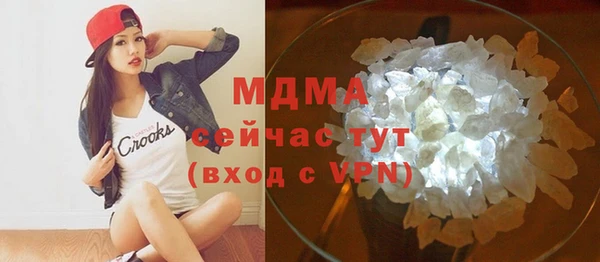 индика Медвежьегорск