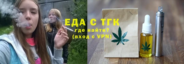 индика Медвежьегорск