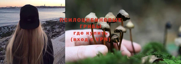 индика Медвежьегорск
