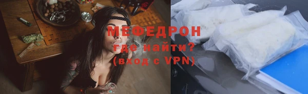 индика Медвежьегорск