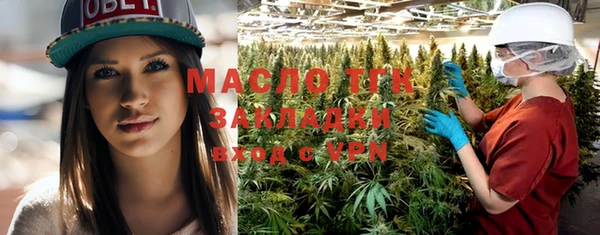индика Медвежьегорск