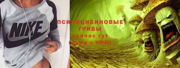 2c-b Мегион
