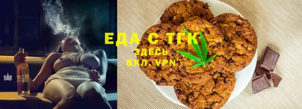 индика Медвежьегорск