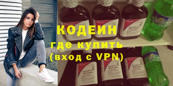 индика Медвежьегорск