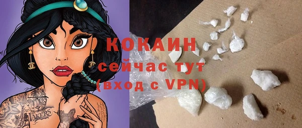 индика Медвежьегорск