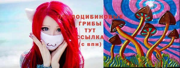 2c-b Медногорск