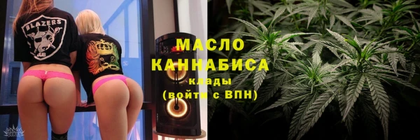 индика Медвежьегорск