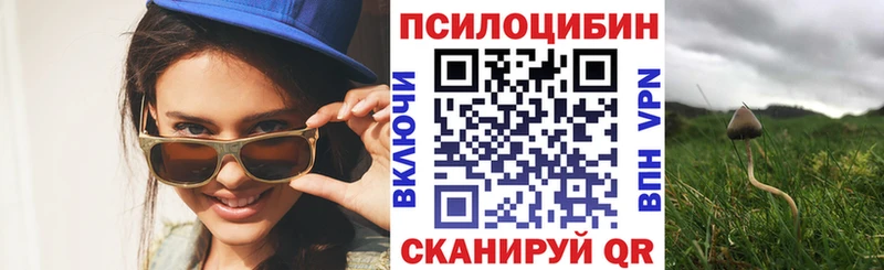 Купить где  Называевск  Галлюциногенные грибы Cubensis 